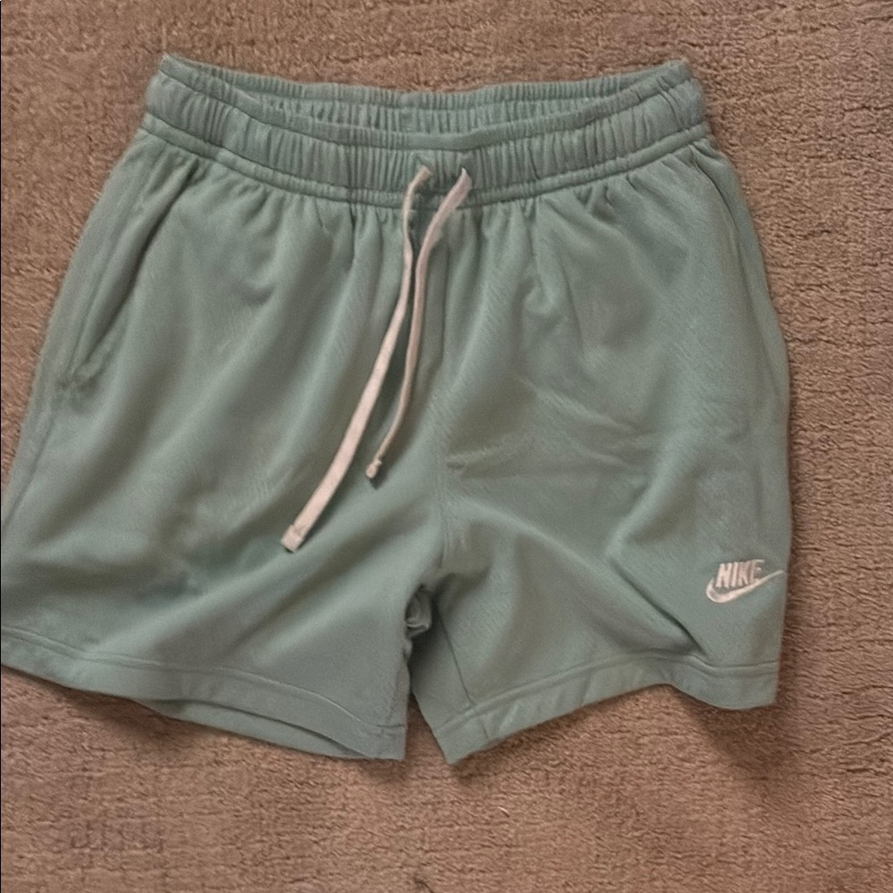 Nike Pastel Green Mesh Athletic Shorts